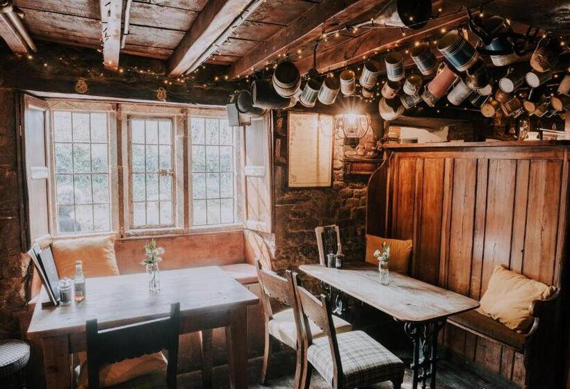 فندق The Falkland Arms