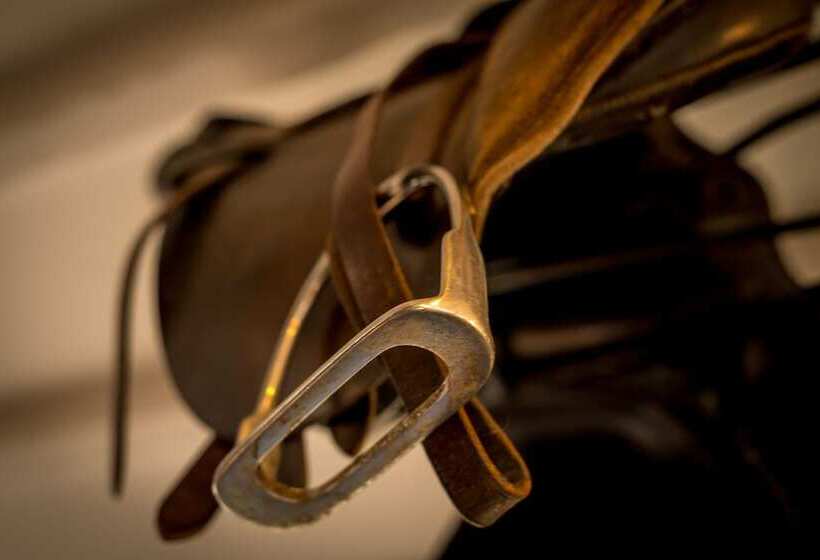 فندق The Queen S Arms