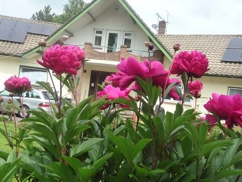 Linchens Bed And Breakfast