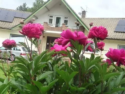 Linchens Bed And Breakfast