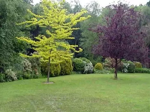 Linchens Bed And Breakfast