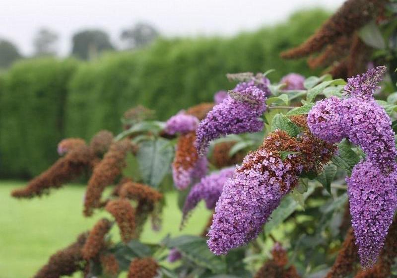 펜션 Cannards Grave Farmhouse  B&b