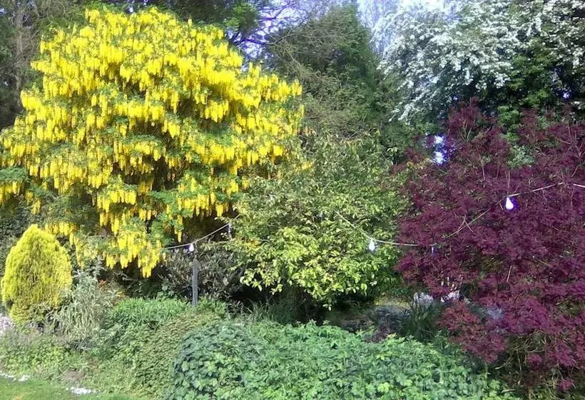 Majatalo Newburgh House Bed & Breakfast