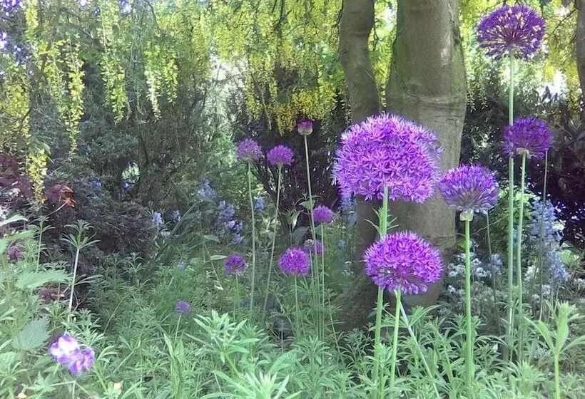 Majatalo Newburgh House Bed & Breakfast