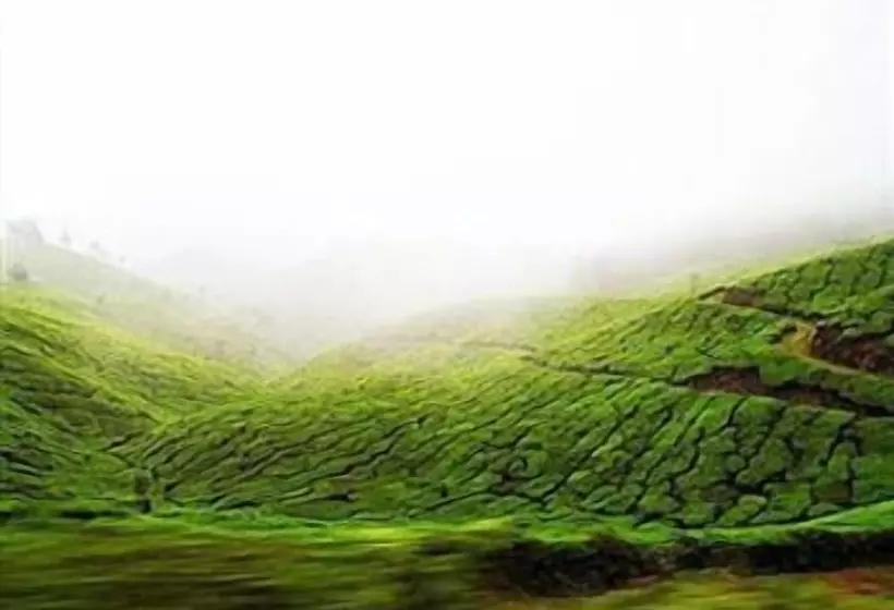 منتجع Camp Noel