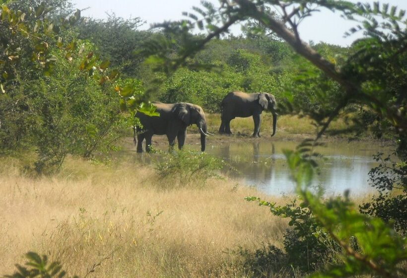 Silonque Bush Estate & Spa