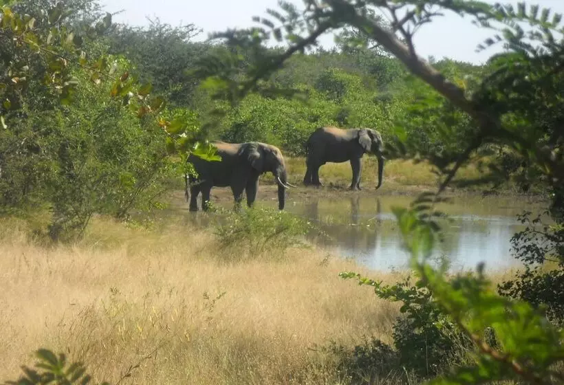 Silonque Bush Estate & Spa