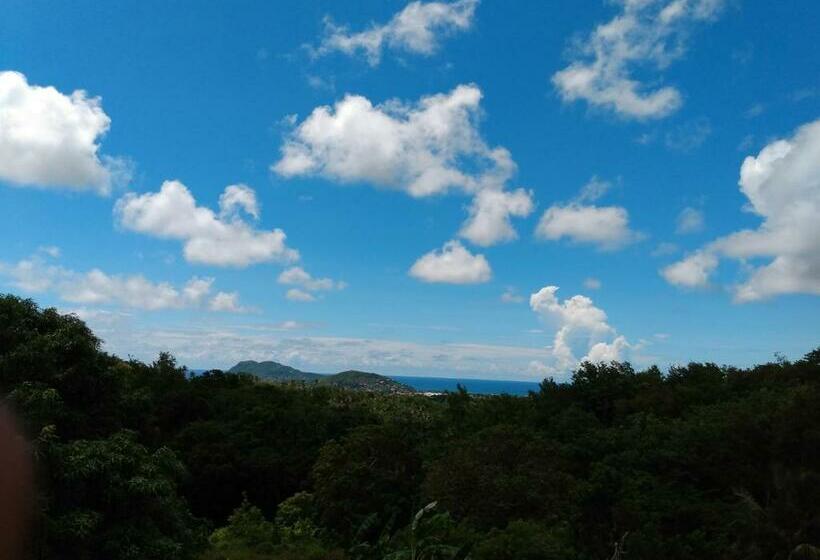 G S Nest Bed And Breakfast