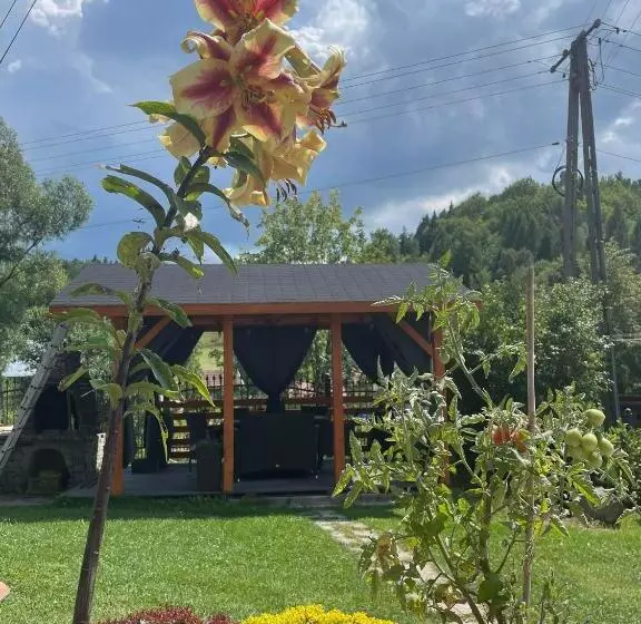 ホテル Agroturystyka Pensjonat Paula