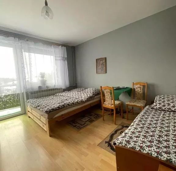 ホテル Agroturystyka Pensjonat Paula