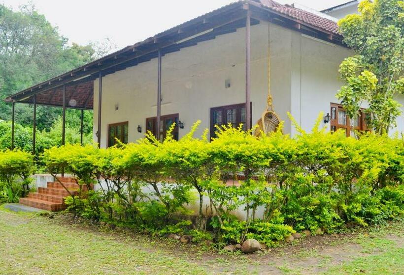 Hotel Safari Land And Guest House