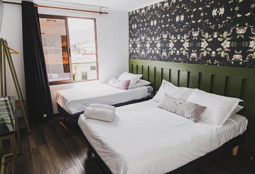 هتل Velero Cavancha