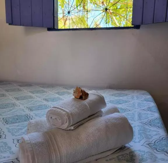 ペンション Chalé Flor Do Ser