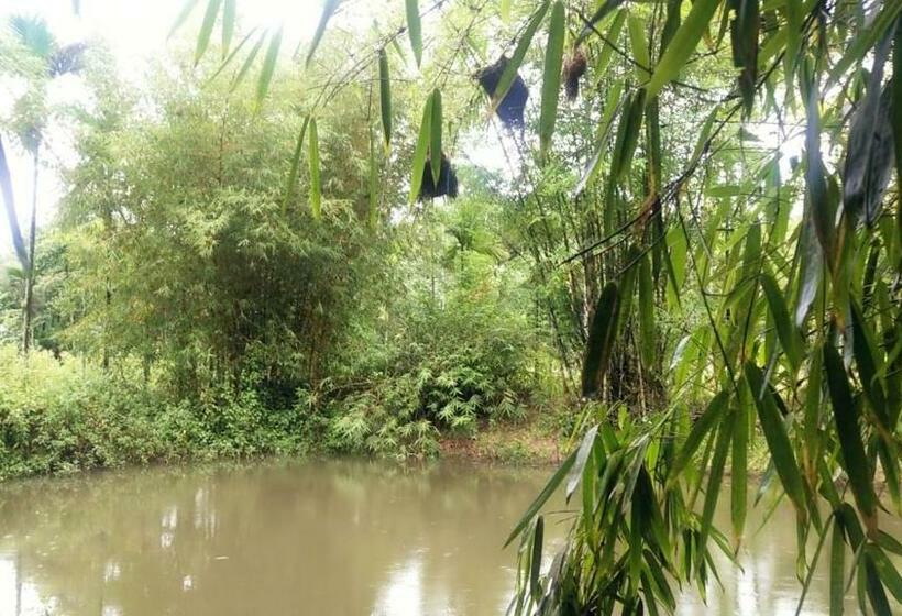 פנסיון Coffeeisland Heritage Farm Villas