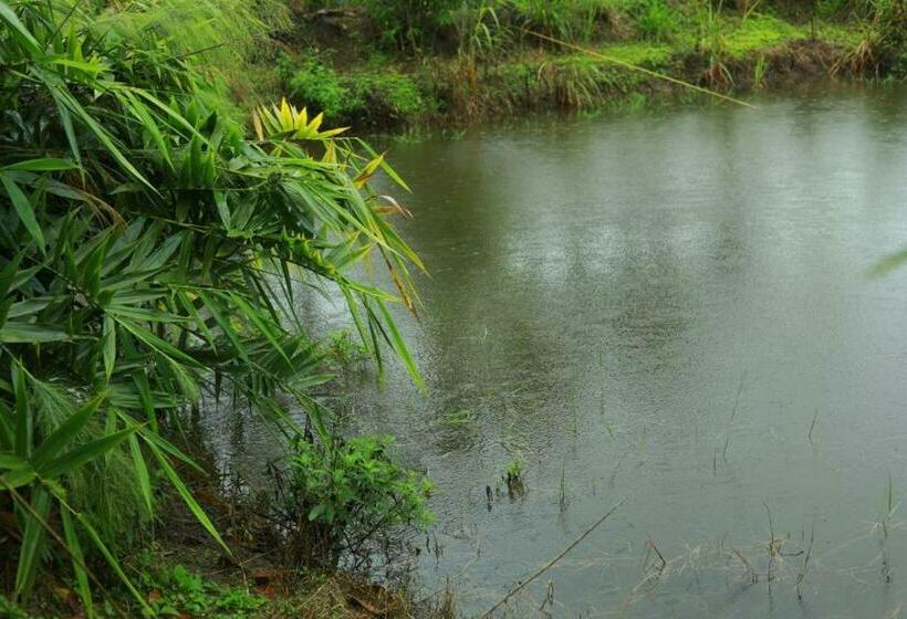 פנסיון Coffeeisland Heritage Farm Villas