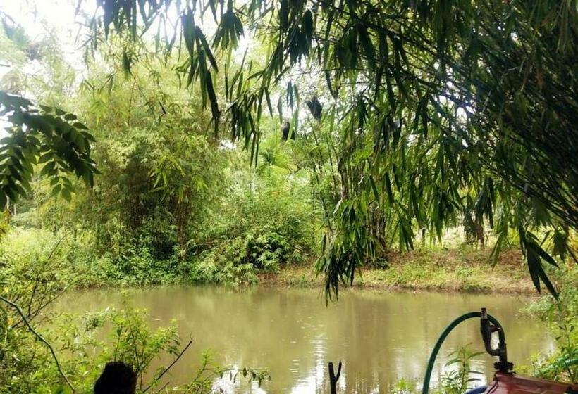 פנסיון Coffeeisland Heritage Farm Villas