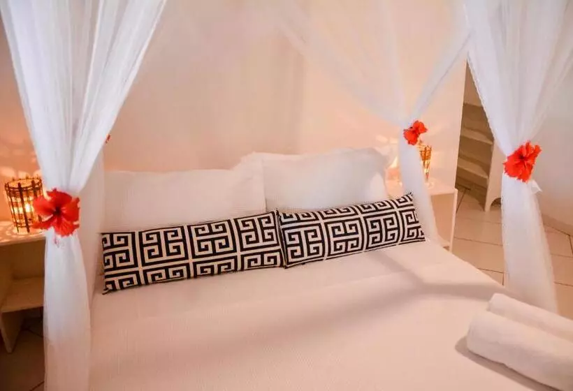 ペンション Pousada Vila Palma Boipeba