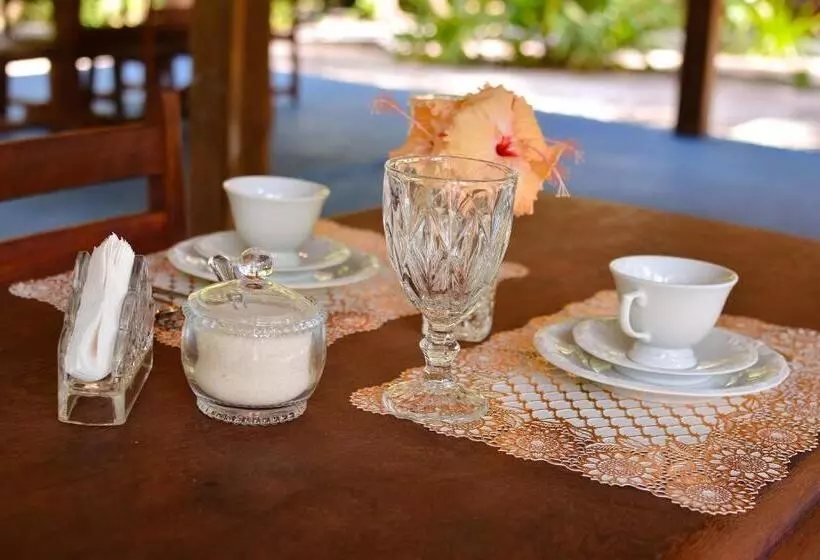 ペンション Pousada Vila Palma Boipeba