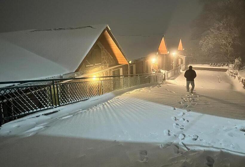 پانسیون White House Cottages