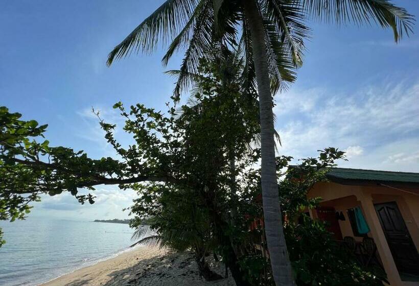 بنسيون Wish Bungalow