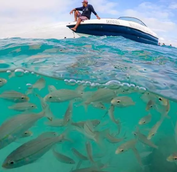 Retkeilymaja Pousada Do Vozinho