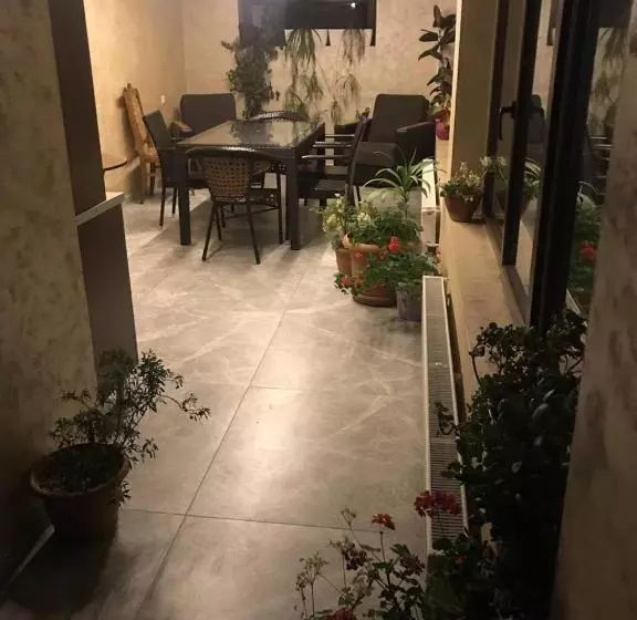 هتل David Zhorzholiani