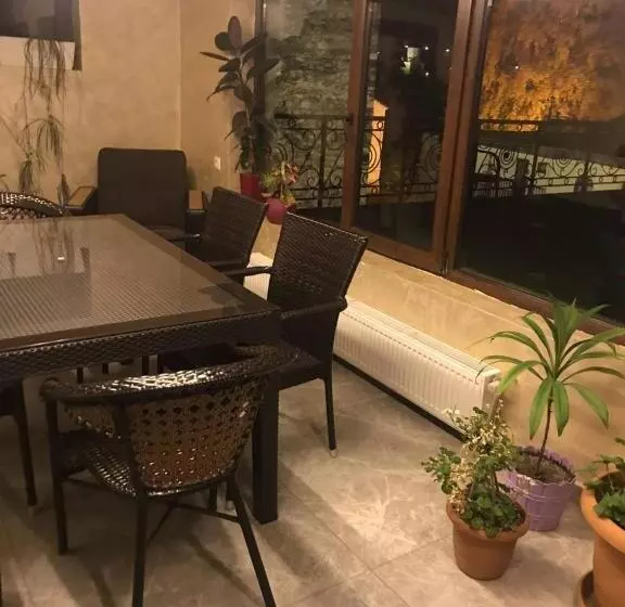 هتل David Zhorzholiani