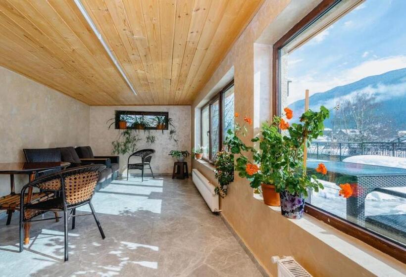 هتل David Zhorzholiani