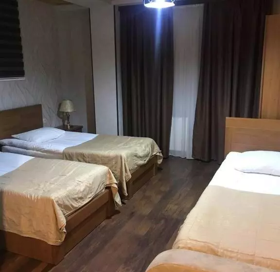 هتل David Zhorzholiani