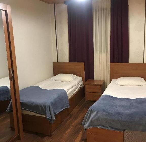 هتل David Zhorzholiani