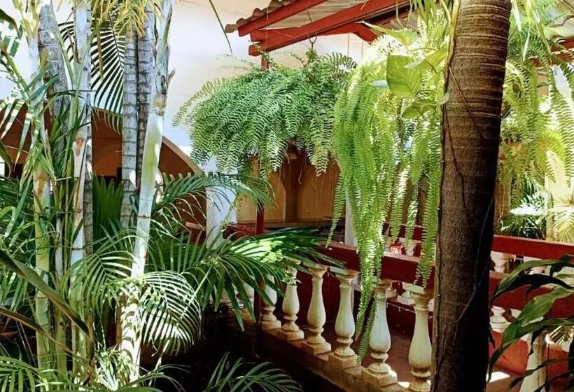 ペンション Hostal Casa Belinda