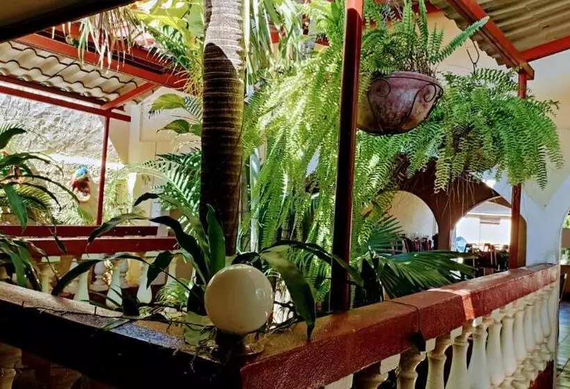 ペンション Hostal Casa Belinda