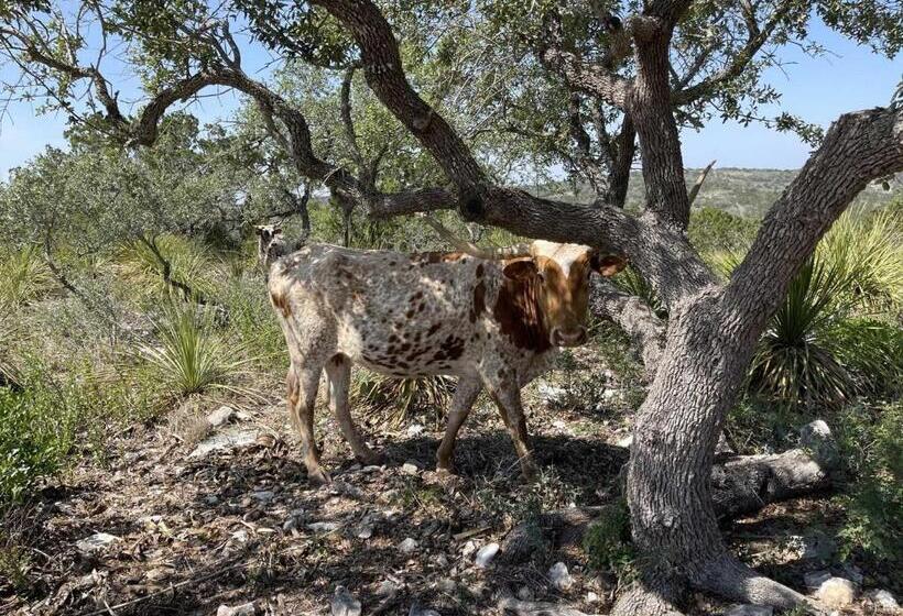 Pensjonat Ranchito Cabin In Hondo