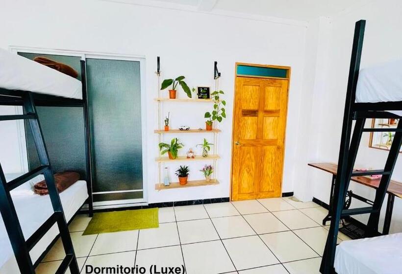 پانسیون Samay Hostel