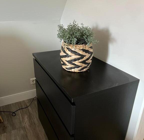 פנסיון Torenzicht