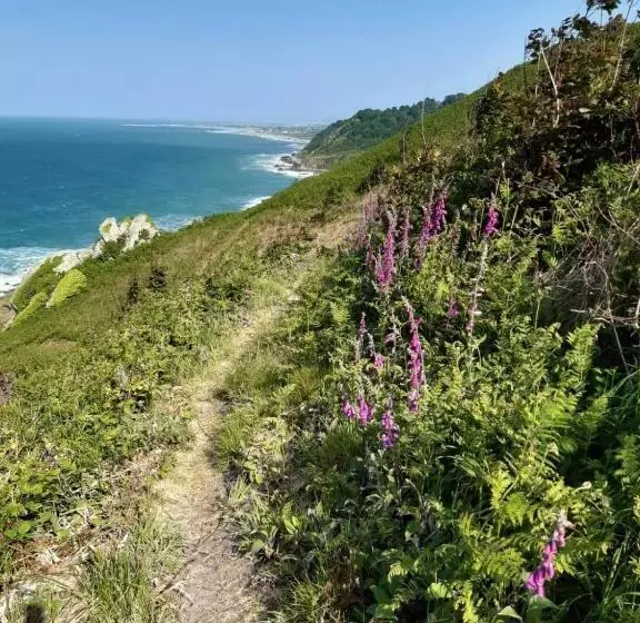 Aamiaismajoitus (B&B) Reve Capel