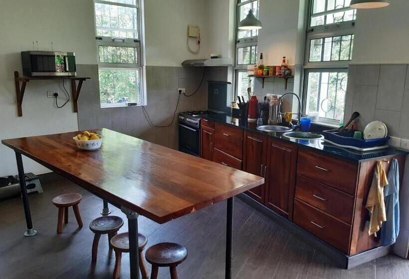 Nocleg ze śniadaniem Themi View