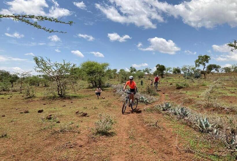 Nocleg ze śniadaniem Themi View