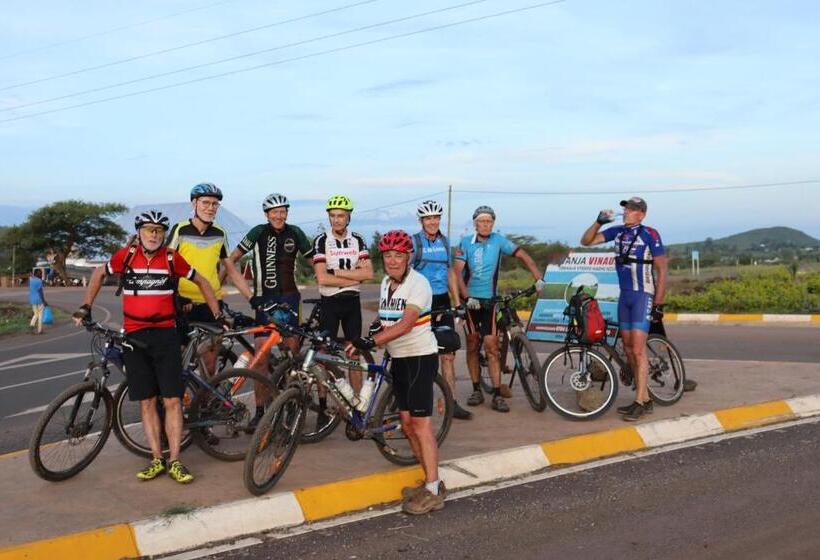 Nocleg ze śniadaniem Themi View