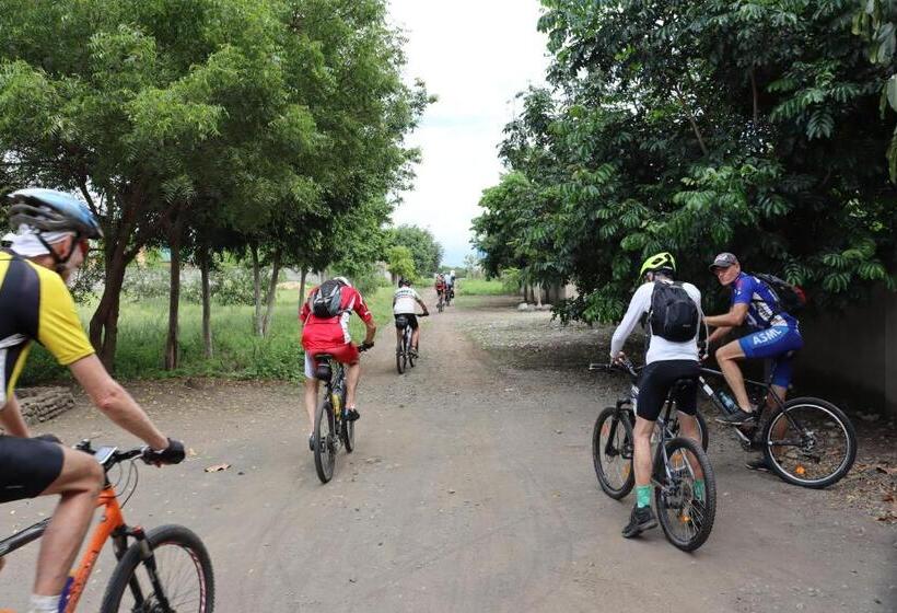 Nocleg ze śniadaniem Themi View