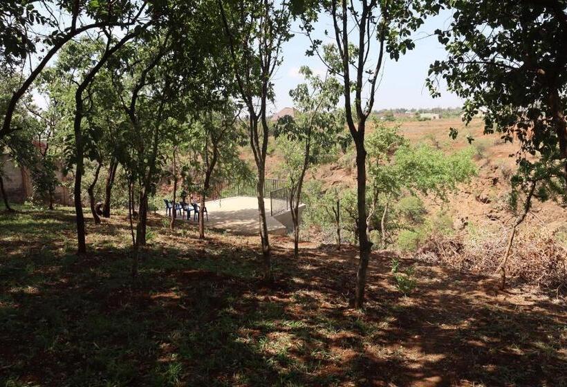 Nocleg ze śniadaniem Themi View