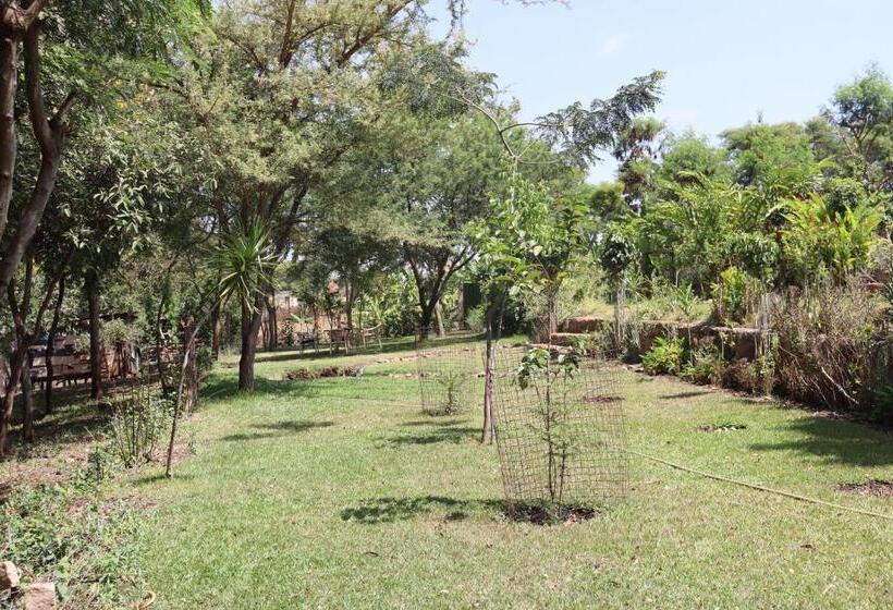 Nocleg ze śniadaniem Themi View