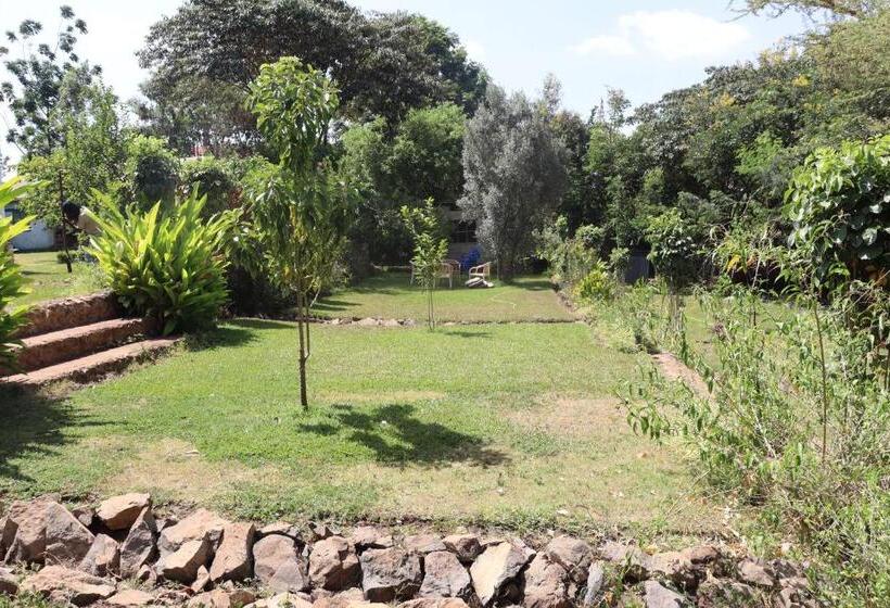 Nocleg ze śniadaniem Themi View