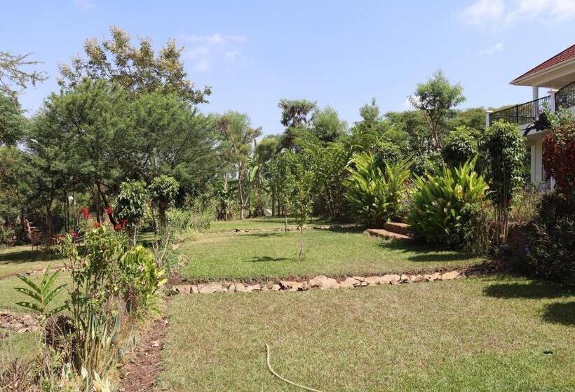 Nocleg ze śniadaniem Themi View