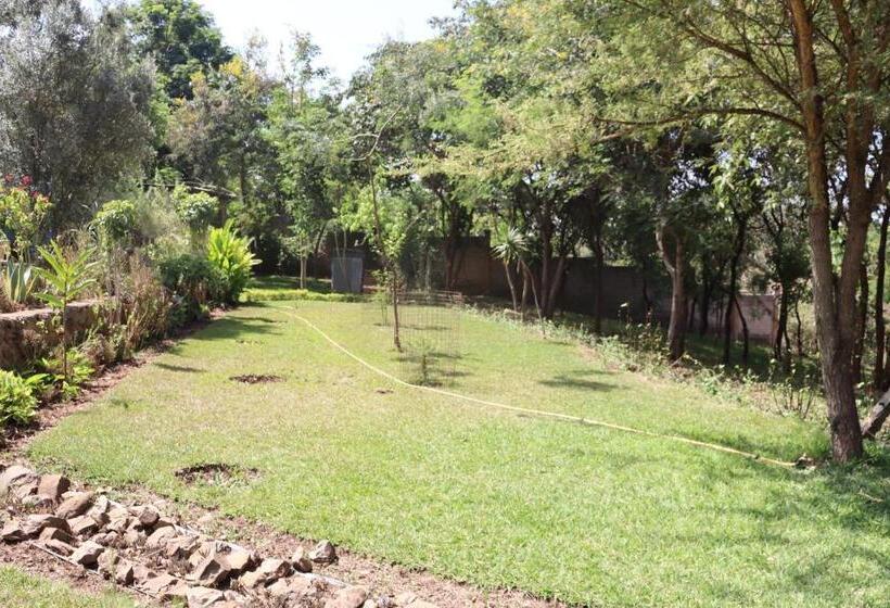 Nocleg ze śniadaniem Themi View