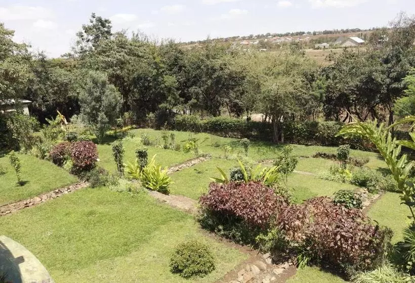 تختخواب و صبحانه Themi View