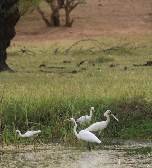 בית מלון כפרי Ananyavaas
