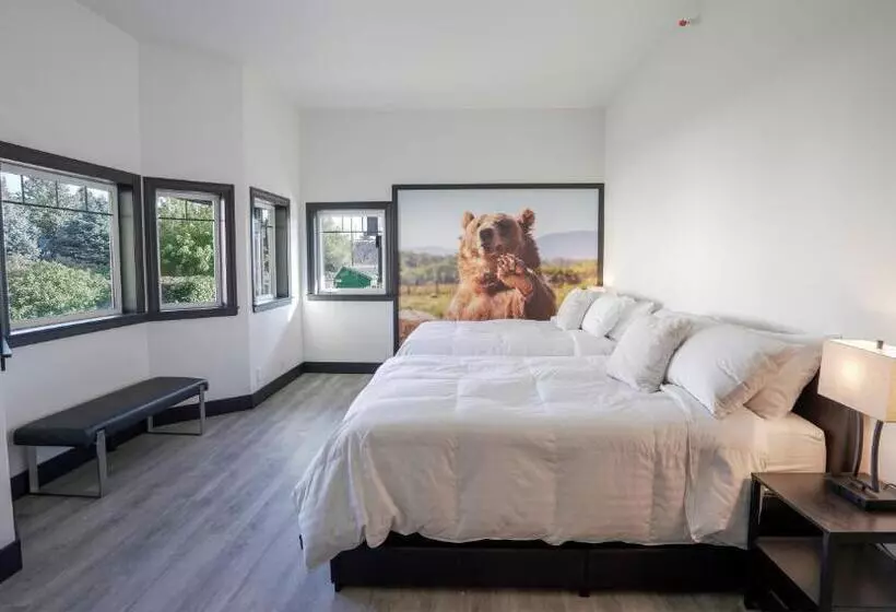 هتل Icon Inn