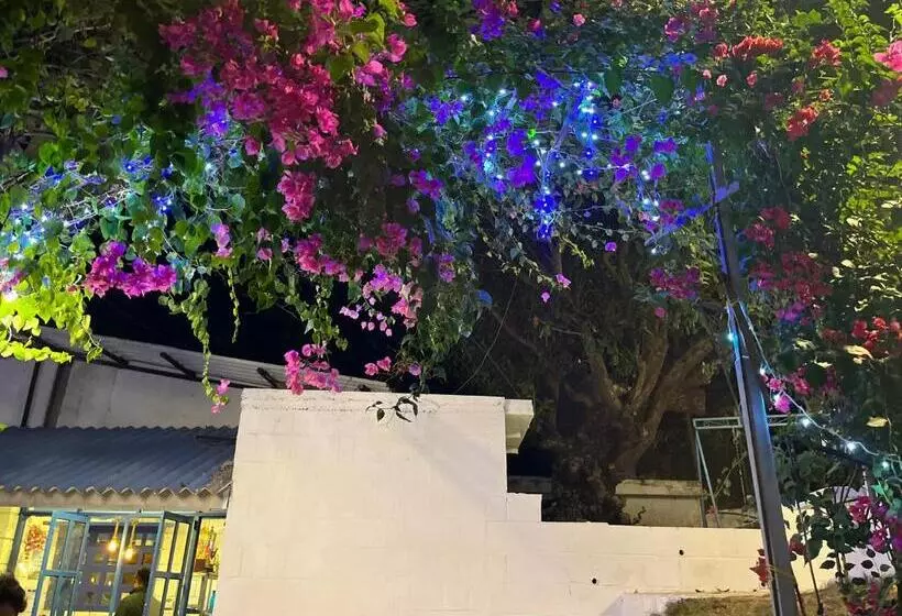 Hotelli Sea Breeze Beach Resort