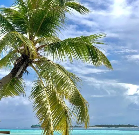 پانسیون Aqua Sunset